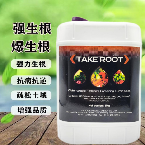 c4ab286cdee7616a25dd8b1da8589fd.png